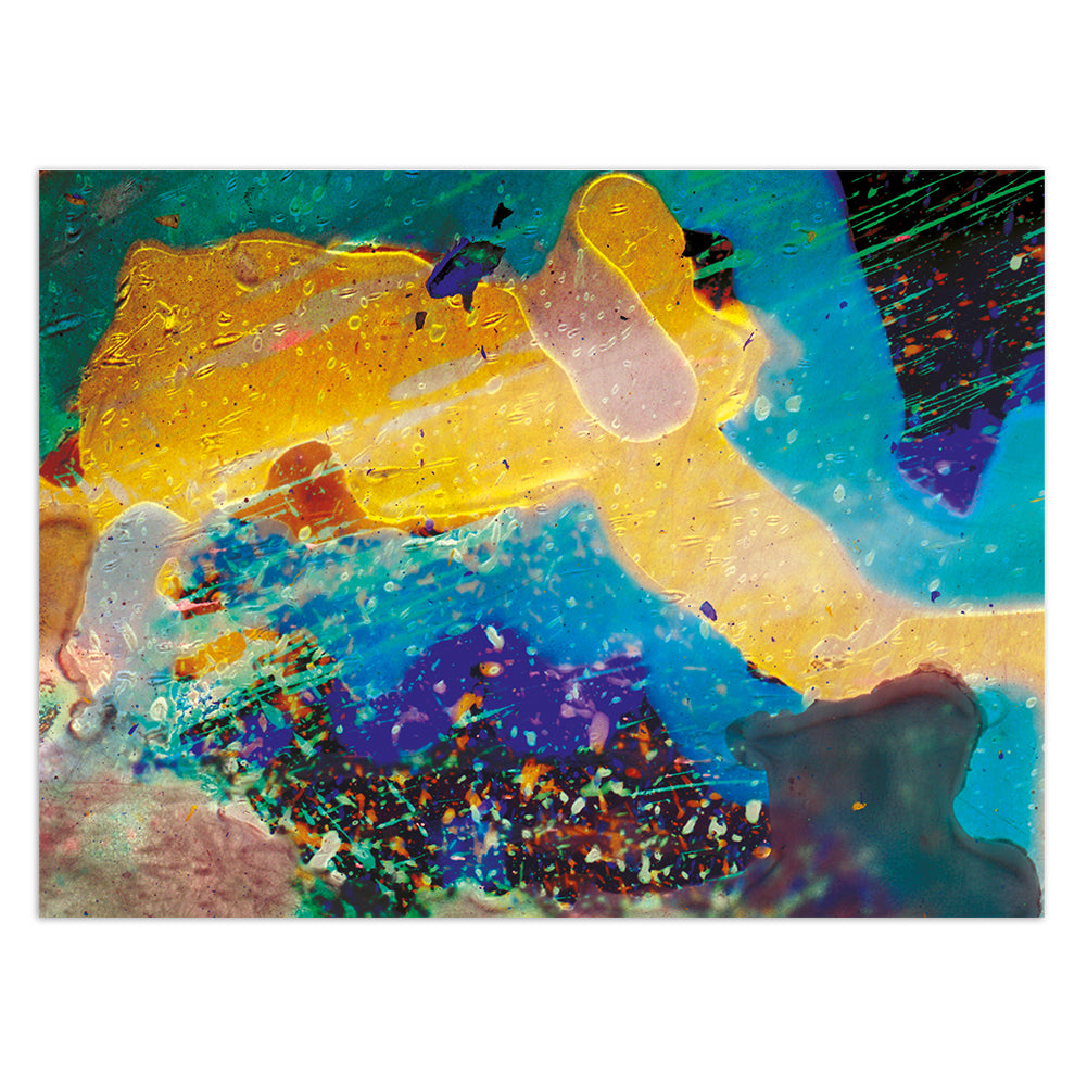 IN RAINBOWS 1000 PIECE JIGSAW PUZZLE